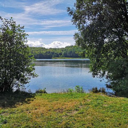 Dom Stare Czaple Villa Eksteriør billede